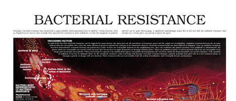 Bacterial Resistance