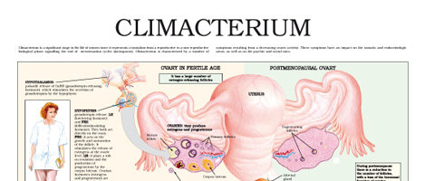 Climacterium