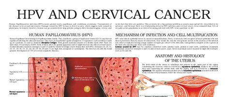 Human Papillomavirus infection (HPV) and Cervical cancer