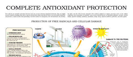 Complete antioxidant protection