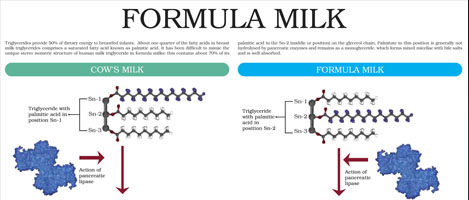 Formula Milk