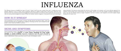 Influenza (II)