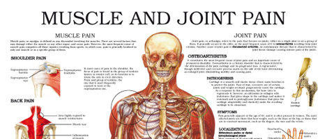 Muscle and joint pain