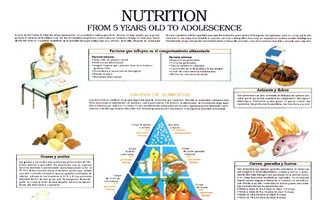 Nutrition, from 5 years old to adolescence