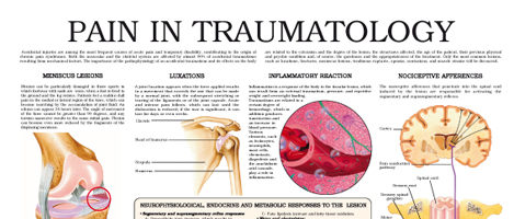 Pain in traumatology