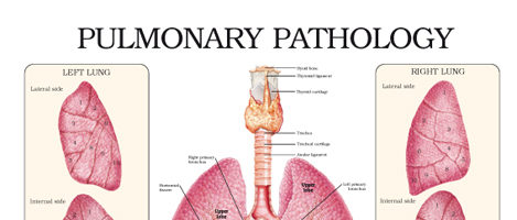 Pulmonary pathology