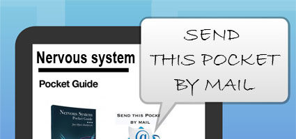 Nervous system Ebook