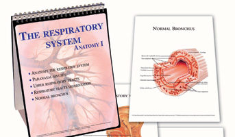Anatomía del Sistema Respiratorio