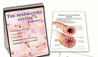 Respiratory system pathology