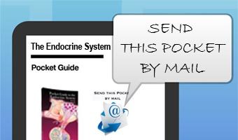 The endocrine system Ebook